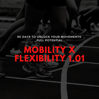 Mobility X Flexibility 1.01